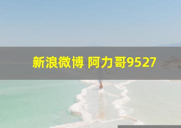 新浪微博 阿力哥9527